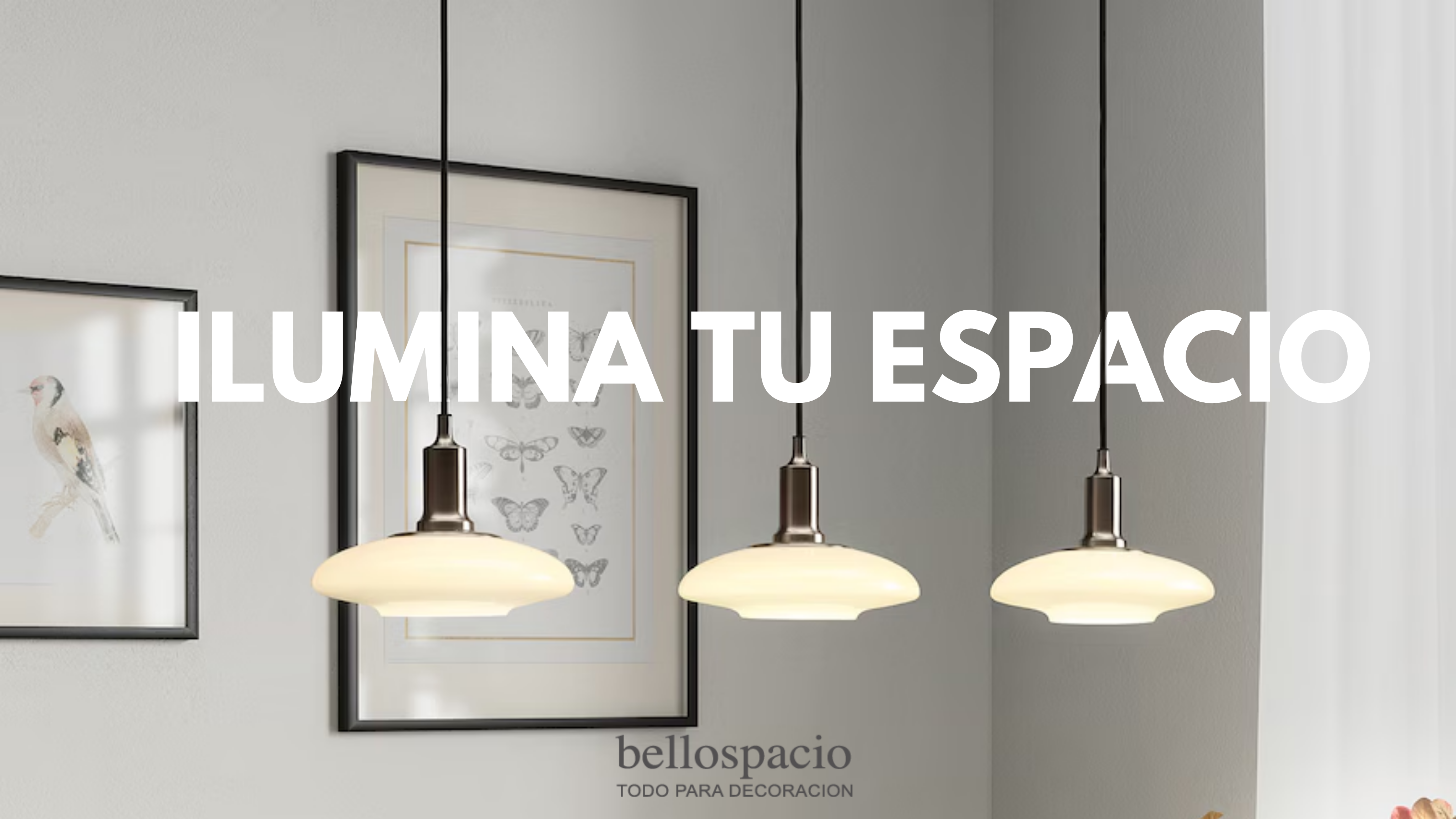 lorem ipsum dolor sit